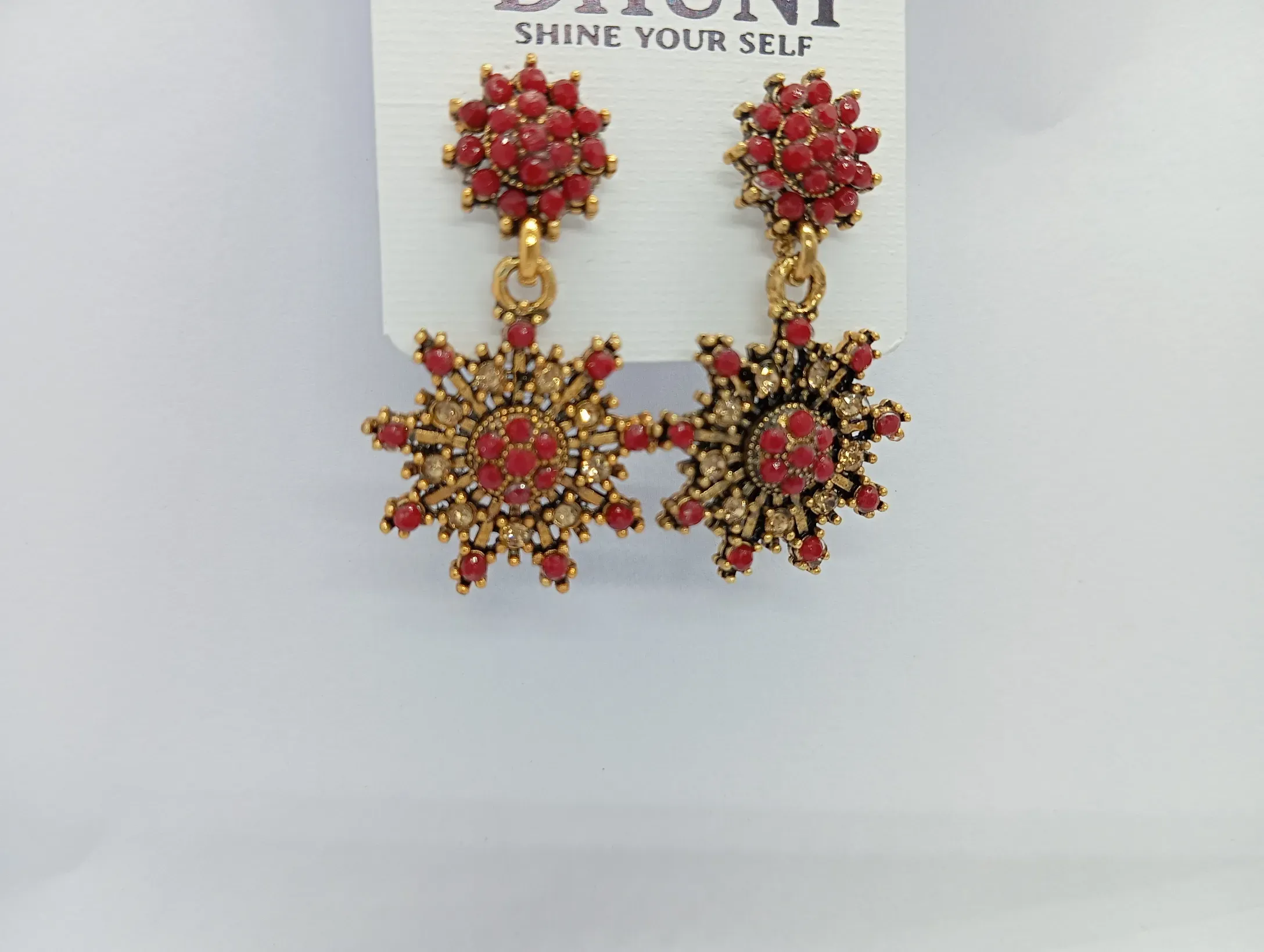 Dhuni Red Stone Earrings