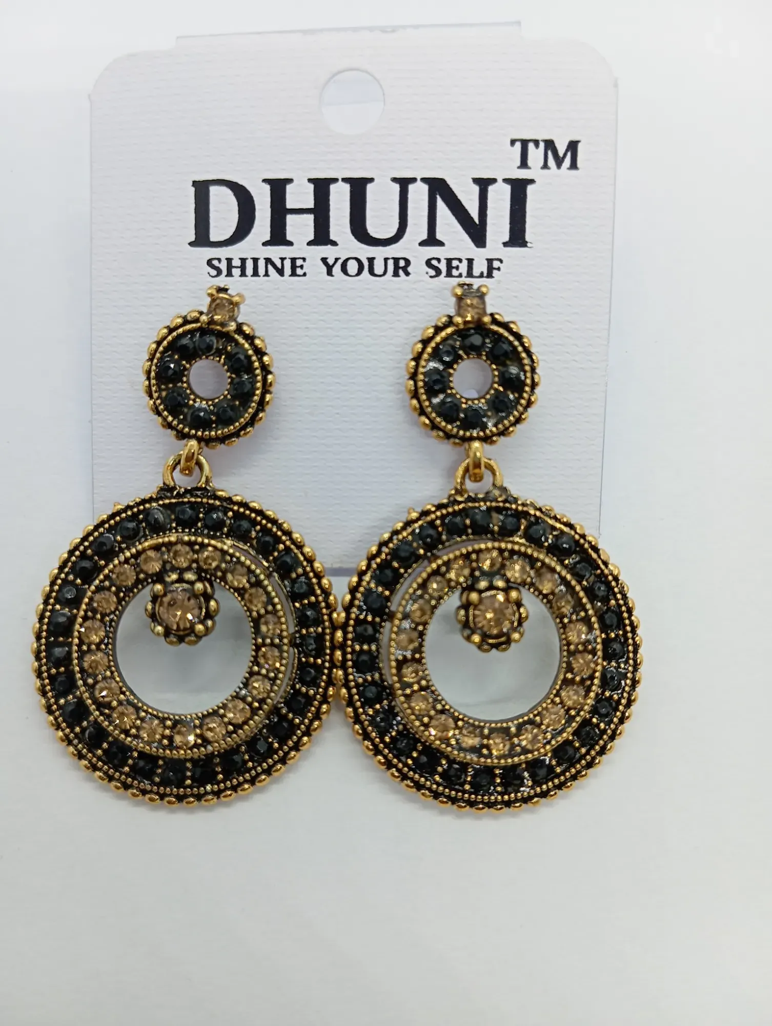 Dhuni Round Drop Earrings
