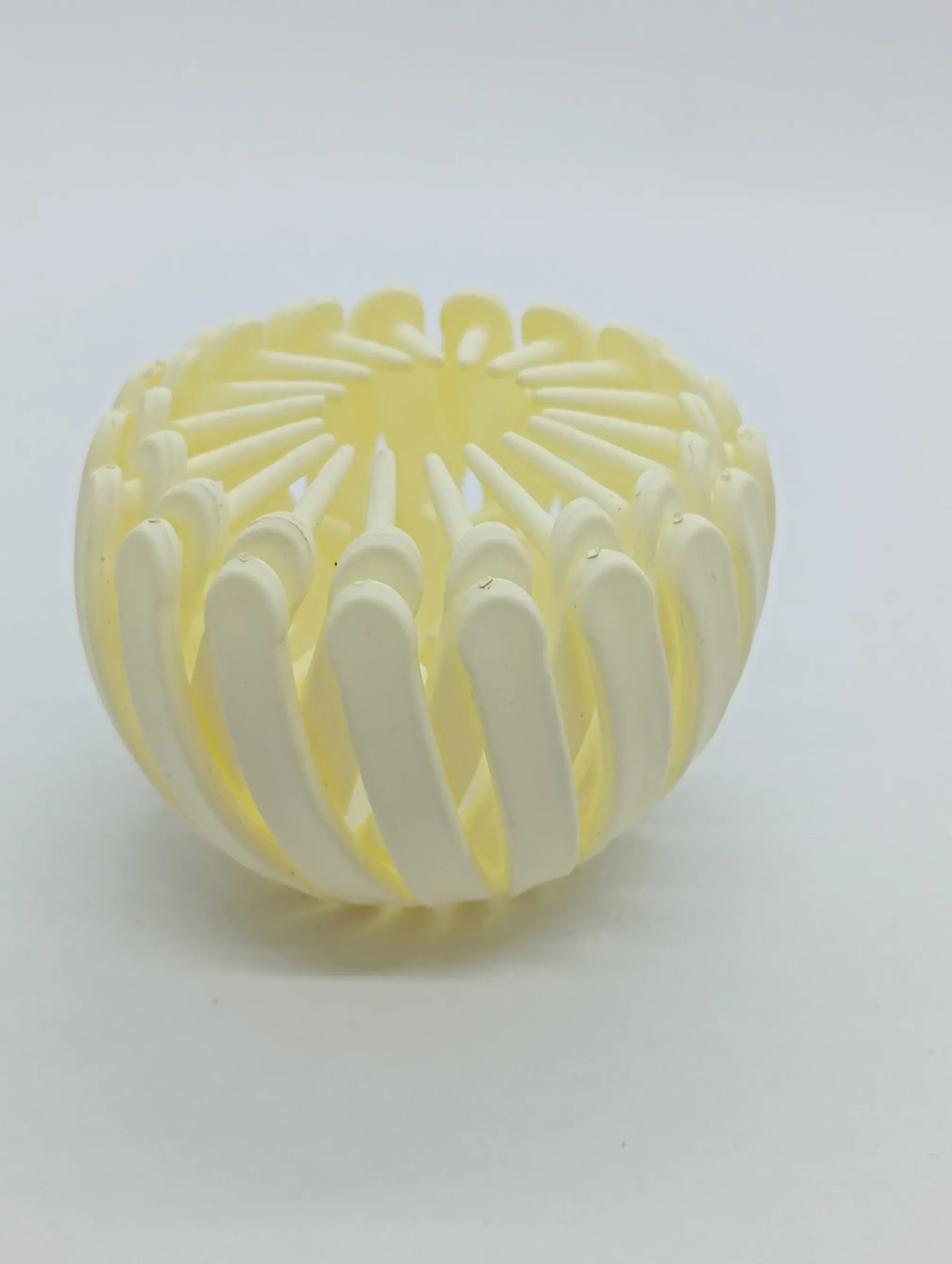 Plastic Hair Claw Clip
