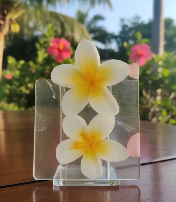 Plumeria Flower Hair Clips