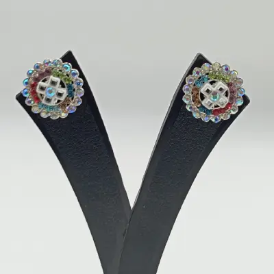 Multicolor Fashion Earrings